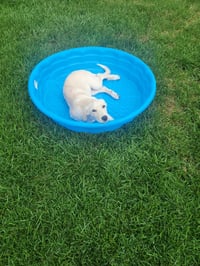 Ella Mae - Photo 6