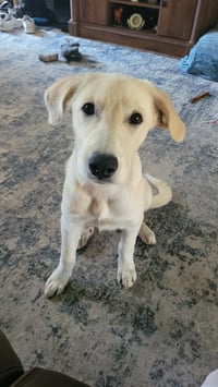 Ella Mae - Photo 4