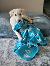Ella Mae - Photo 5