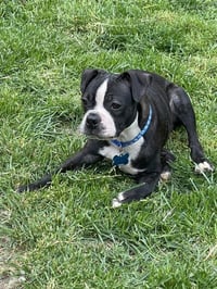 Buzz - Photo 5