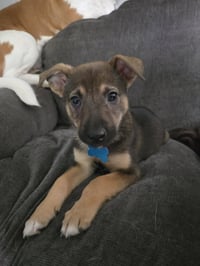 Titan - Photo 3