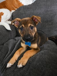 Titan - Photo 1