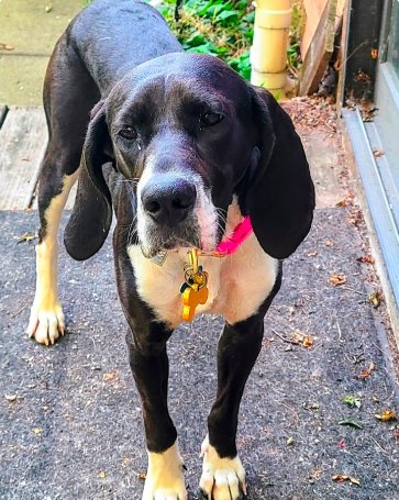 MATILDA