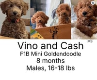 Cash - Photo 1