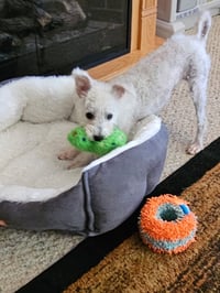 Darla - Photo 2