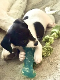 Maybel - Photo 5
