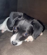 Maybel - Photo 3