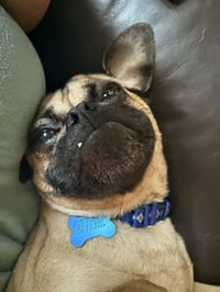 Little Bit - Photo 3