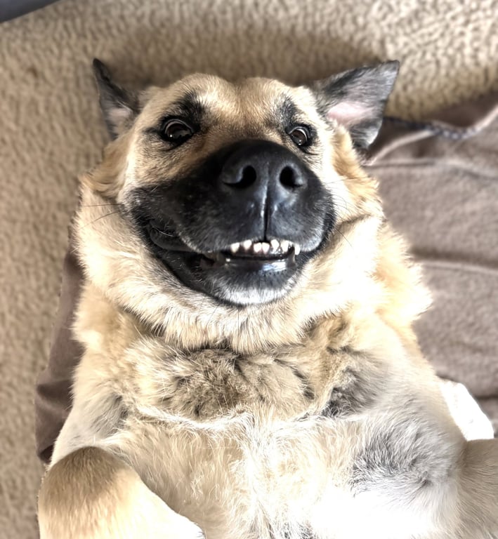 Chloe Image