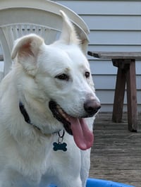 Winnie - Photo 1