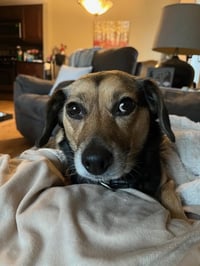 Ethel - Photo 1