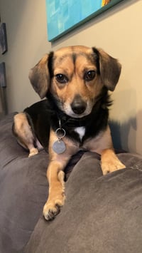 Ethel - Photo 3