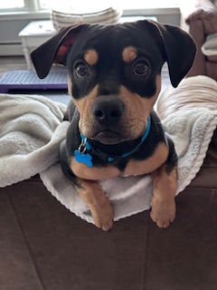 Little Man - Photo 3