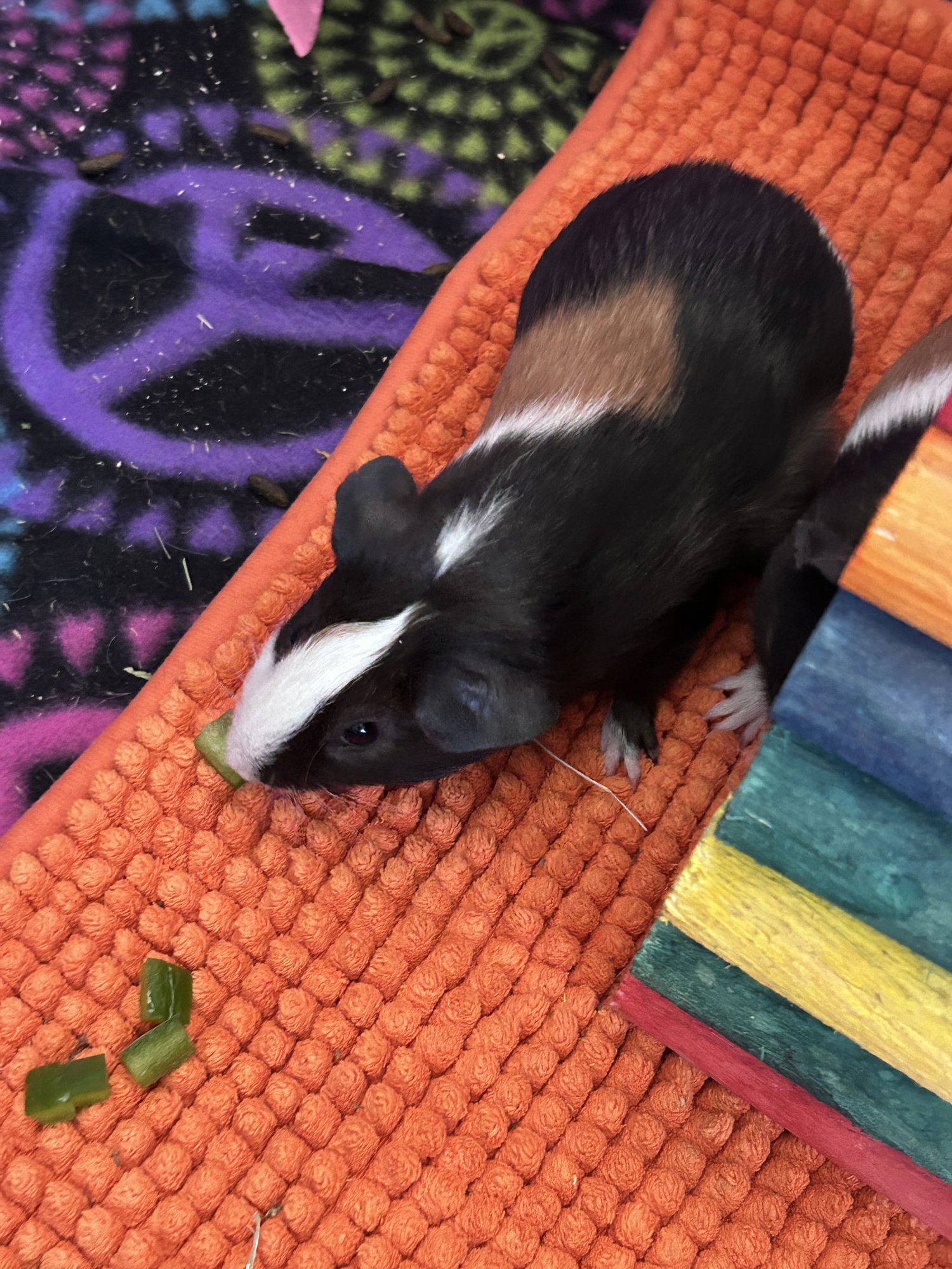 Chips and Dip - Photo 4