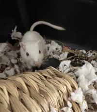 Frosty and Fiona - Photo 2
