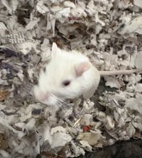 Frosty and Fiona - Photo 3