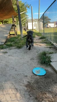 Cash - Photo 15