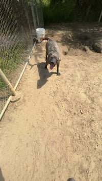 Cash - Photo 14