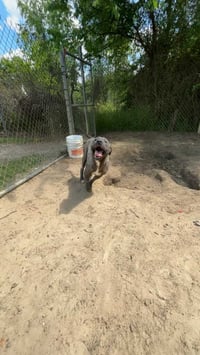 Cash - Photo 16