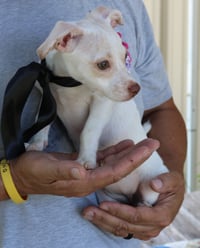 Darla - Photo 3