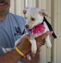 Darla - Photo 4