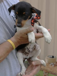 Atticus - Photo 4