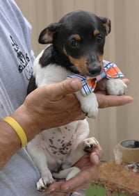 Winston - Photo 1