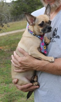 Mutz - Photo 3