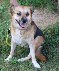 Bridgett - Photo 2