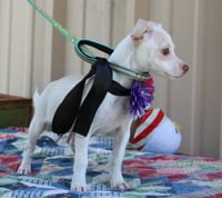 Darla - Photo 2