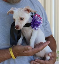 Darla - Photo 3