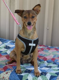 Monica - Photo 1
