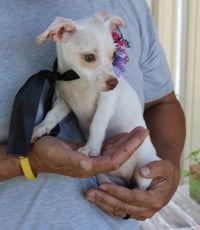 Darla - Photo 3