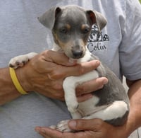 Tova - Photo 3
