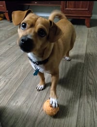 Maverick - Photo 2