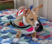 Pebbles - Photo 3