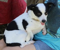 Blanca - Photo 3