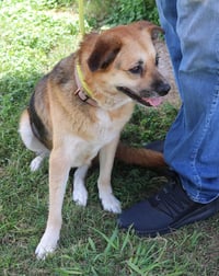 Bridgett - Photo 3