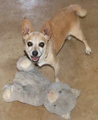 Butter - Photo 1