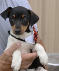 Atticus - Photo 1