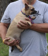 Mutz - Photo 4