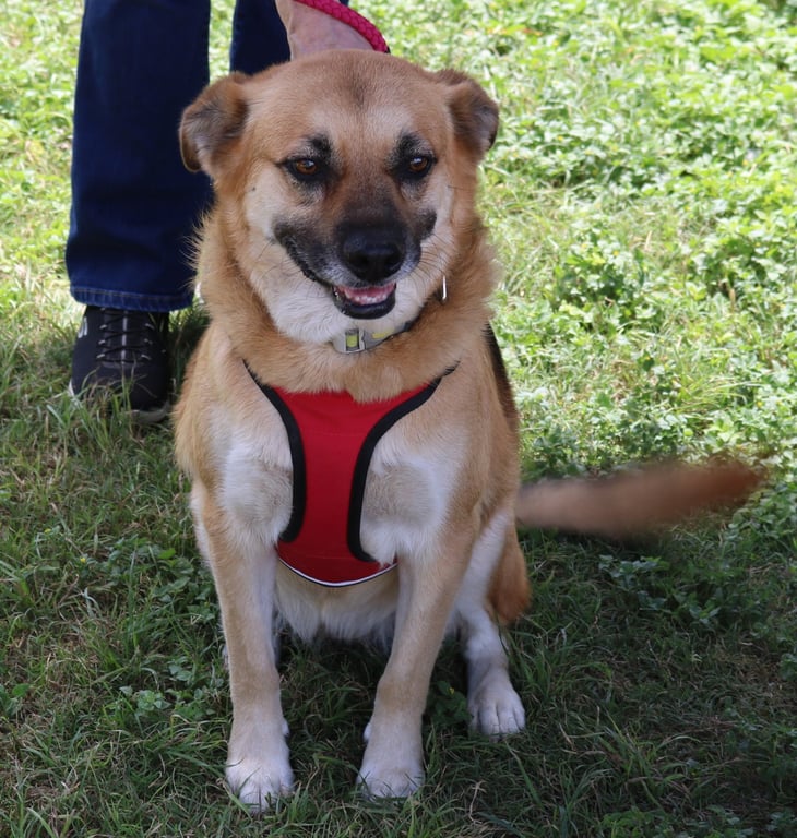 Sadie Image