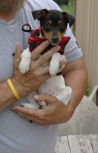 Tucker - Photo 3