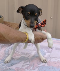 Atticus - Photo 2