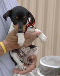 Atticus - Photo 4