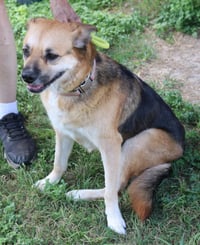 Bridgett - Photo 2