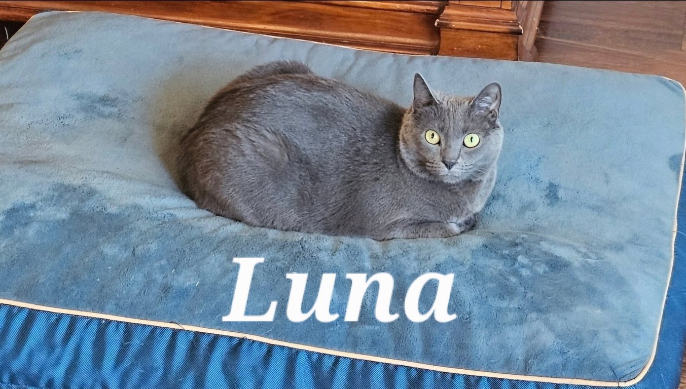 Luna Image