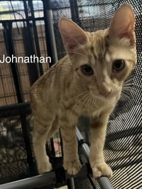 Johnathan - Photo 1
