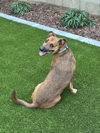 Max - Photo 2