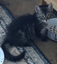 Precious - Photo 2